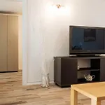 Lovely House And Courtyard In City Center